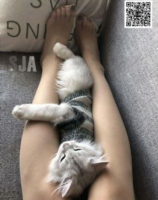 免费的短视频软件app_HD影视在线观看