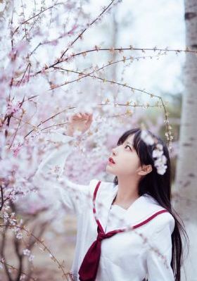 最新地址在线观看_蓝光在线视频播放